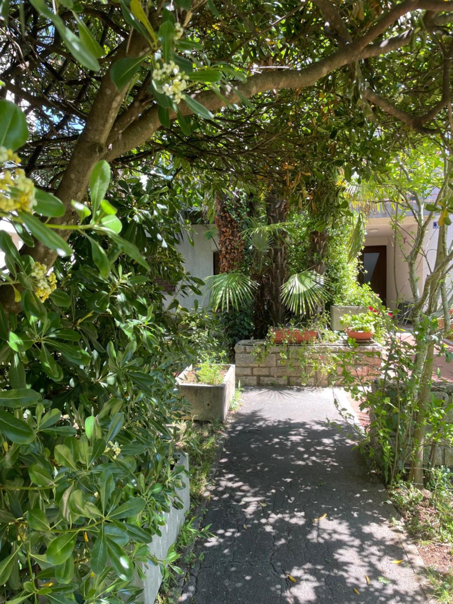 Apartments Bloom Near The Beach Πόρετς Εξωτερικό φωτογραφία
